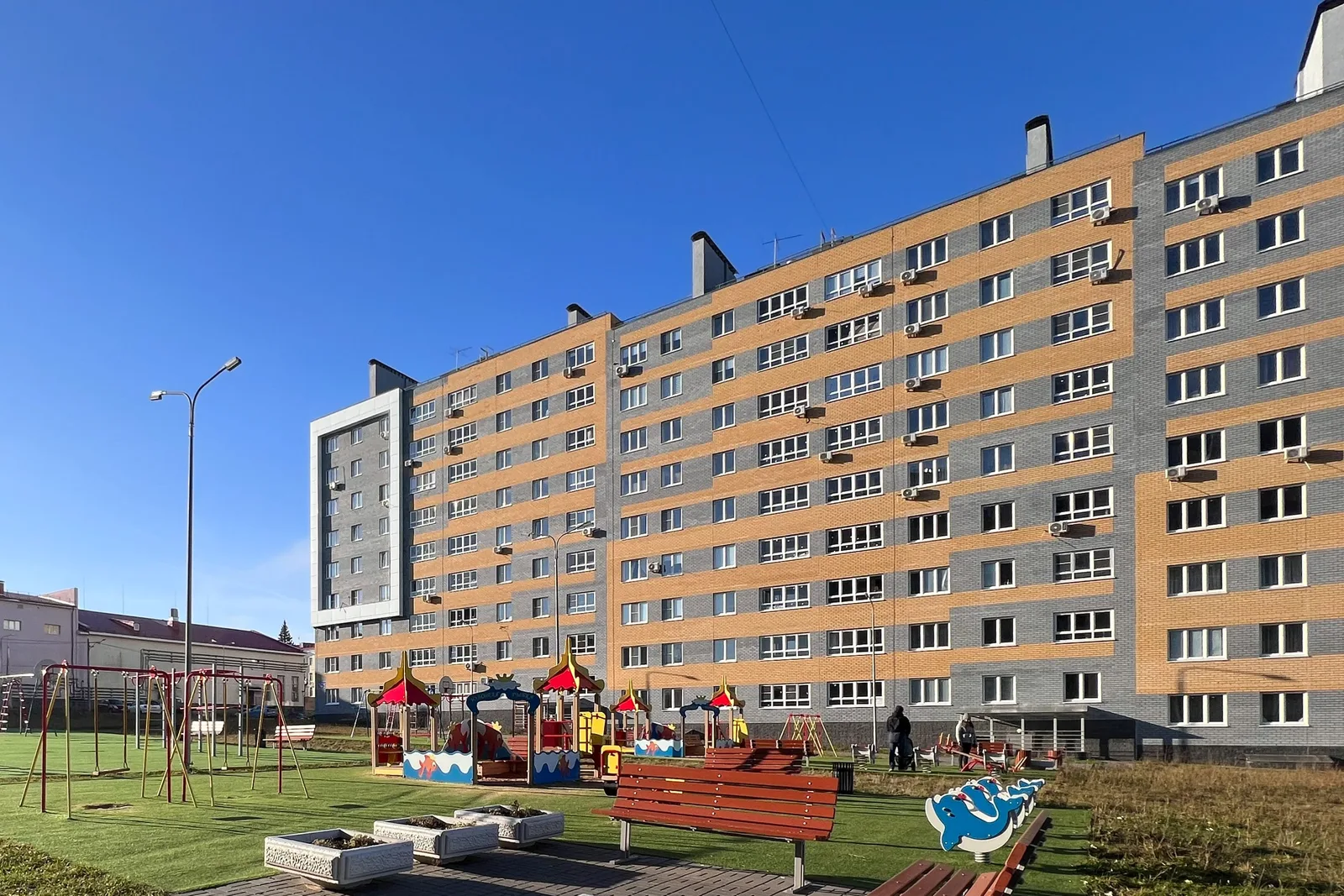 Macadamia, фотография 38