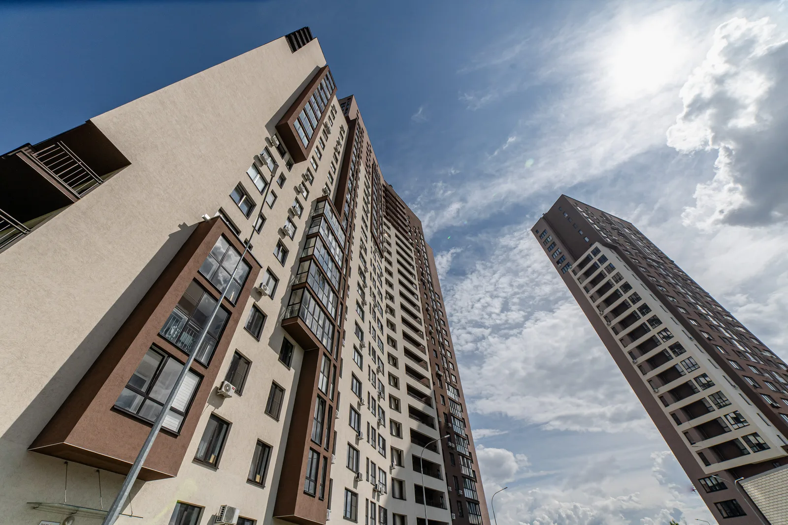 Журавли, фотография 39